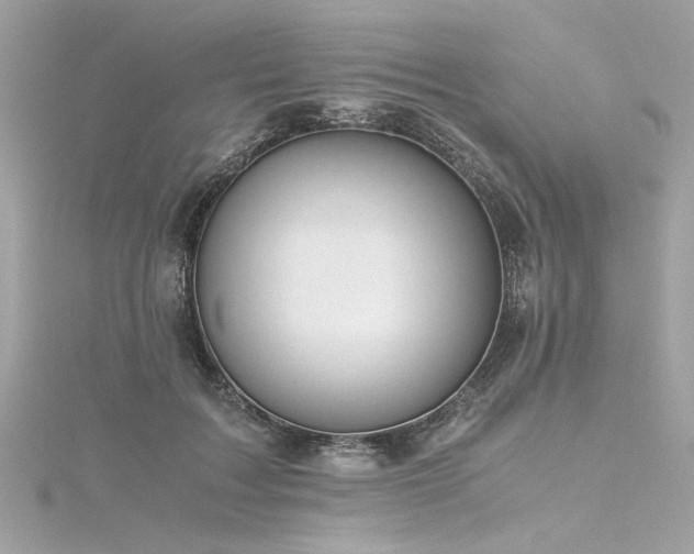 X0000116350603200912011412