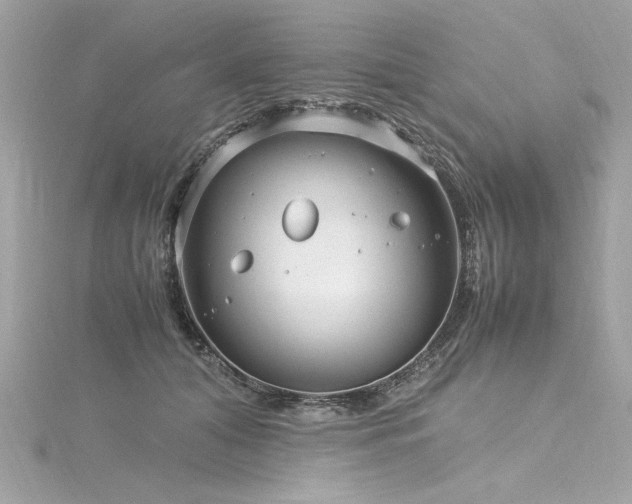 X0000116350608200912011412