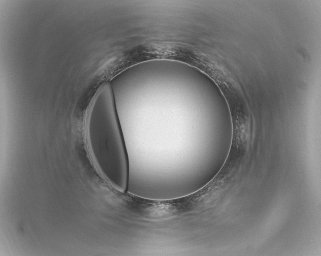 X0000116350609200912011412