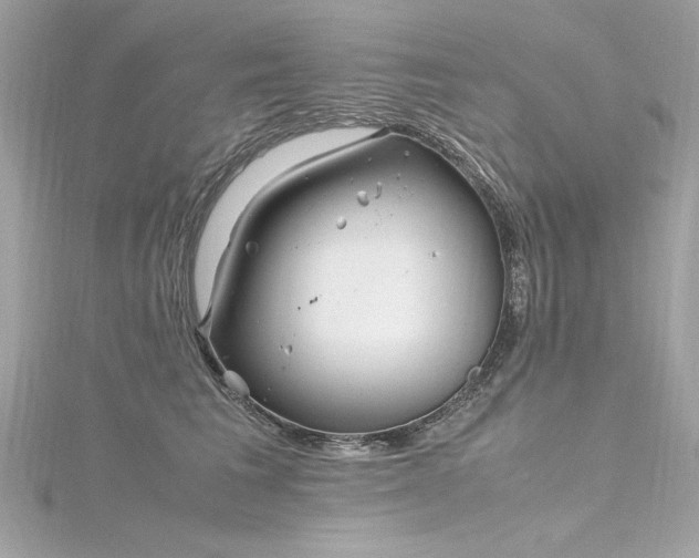 X0000116350613200912011412