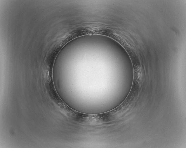 X0000116350615200912011412