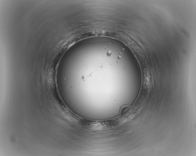 X0000116350616200912011412