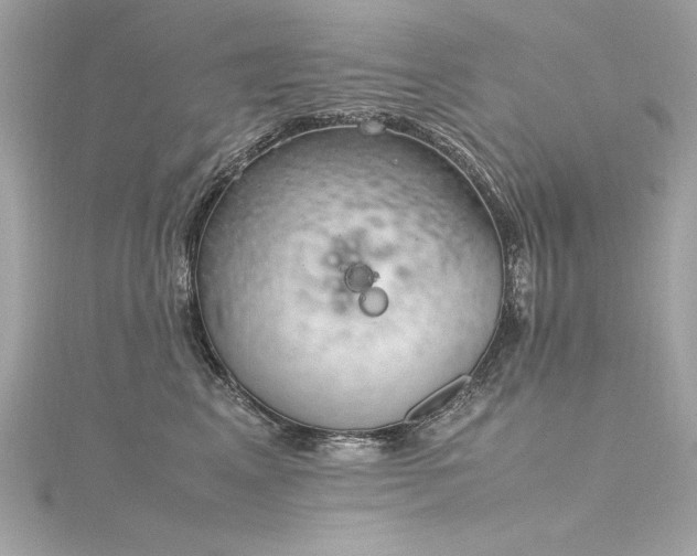 X0000116350617200912011412