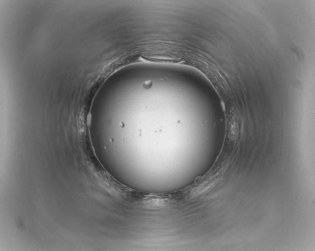 X0000116350620200912011412