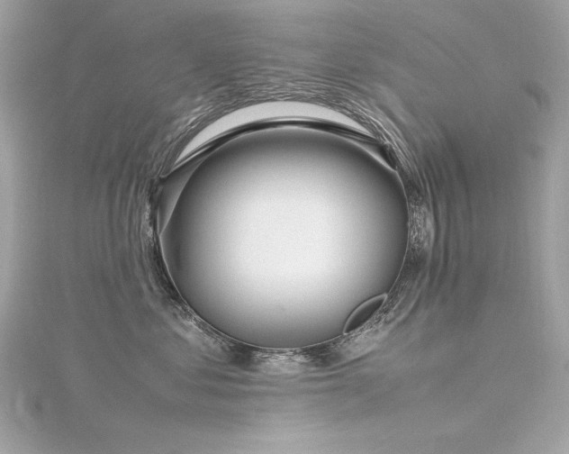 X0000116350621200912011412