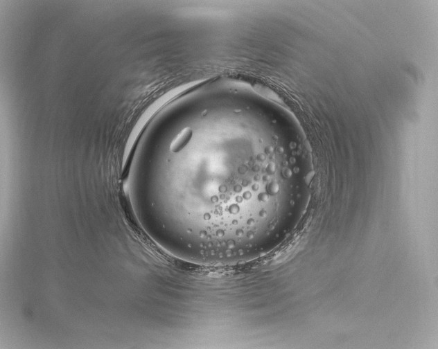 X0000116350624200912011411