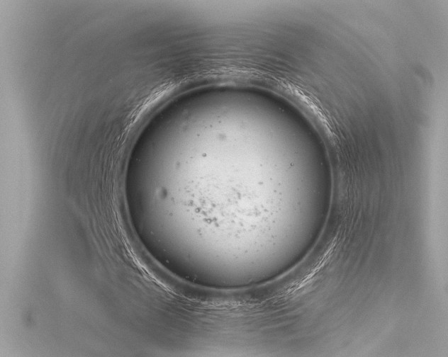 X0000116350625200912011411