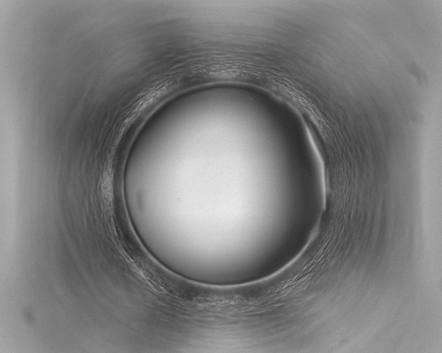 X0000116350626200912011411