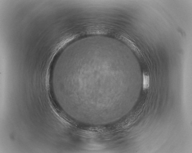 X0000116350627200912011411