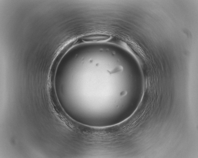 X0000116350628200912011411