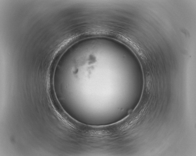 X0000116350629200912011411