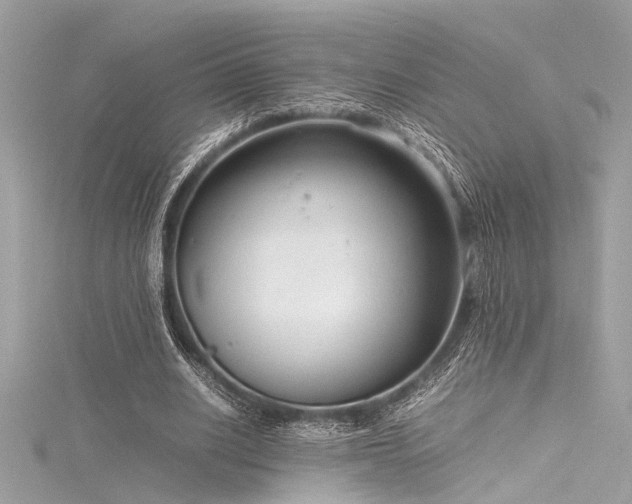 X0000116350630200912011411