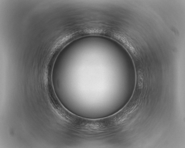 X0000116350631200912011411