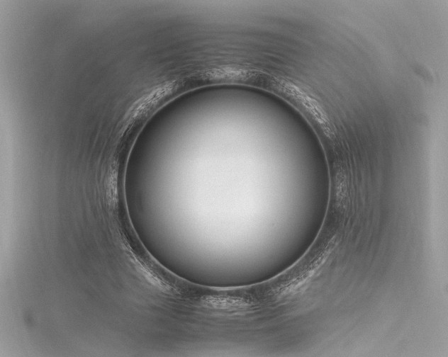 X0000116350633200912011411