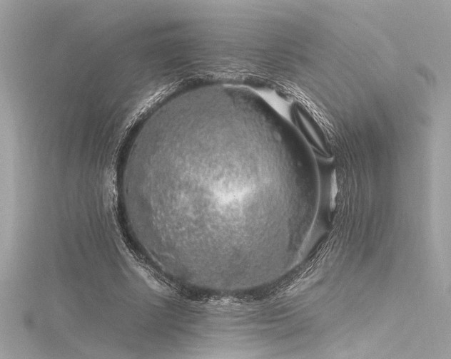 X0000116350634200912011411