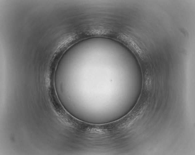 X0000116350635200912011411