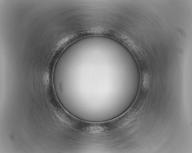 X0000116350636200912011411