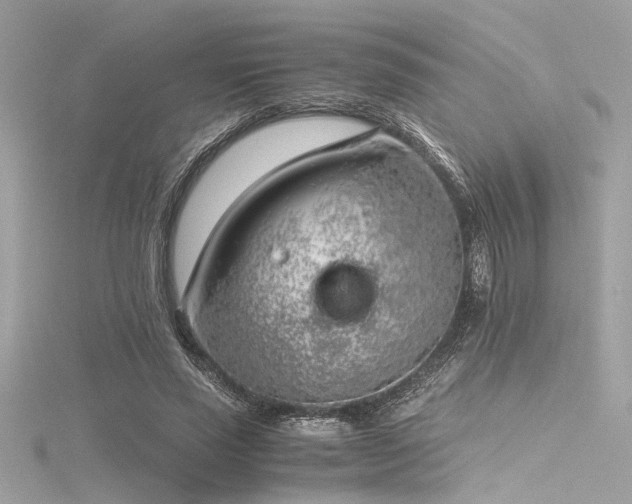 X0000116350637200912011411