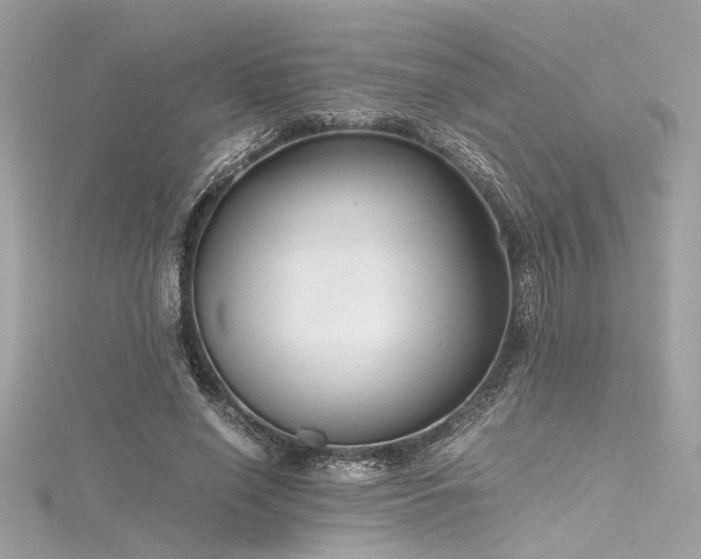 X0000116350638200912011411