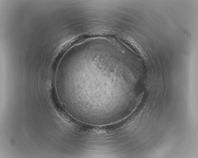 X0000116350640200912011411