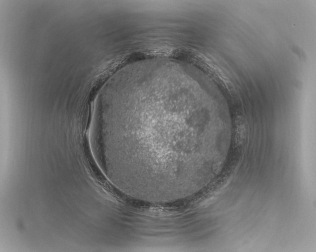 X0000116350641200912011411