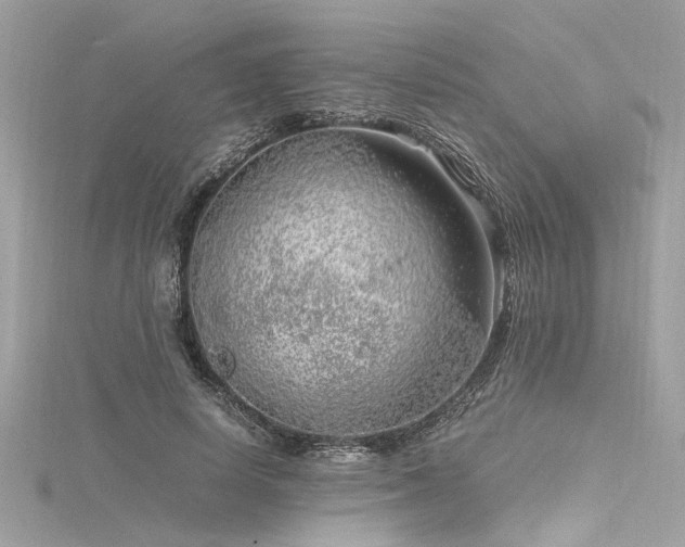 X0000116350642200912011411