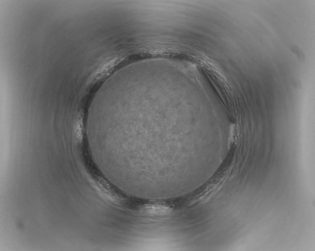 X0000116350644200912011411