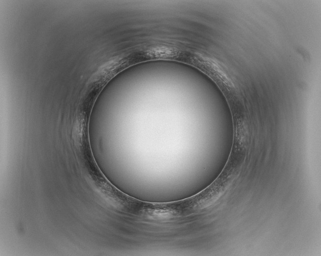 X0000116350645200912011411