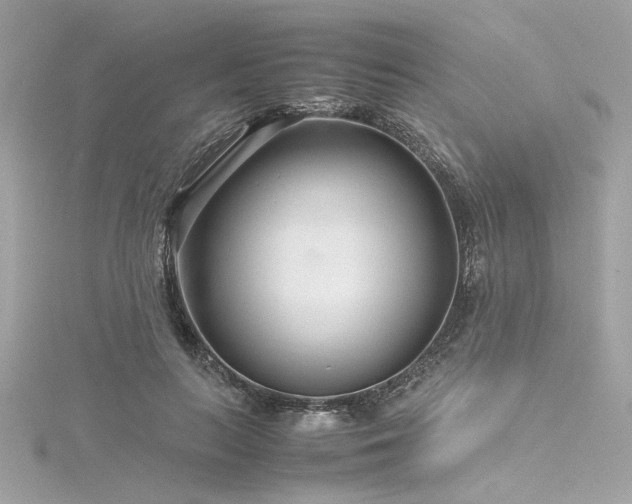 X0000116350647200912011411