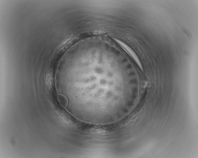 X0000116350648200912011411