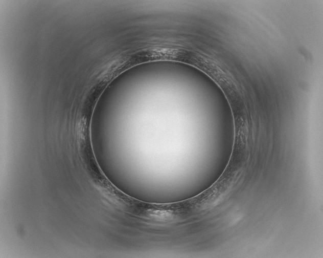 X0000116350649200912011411