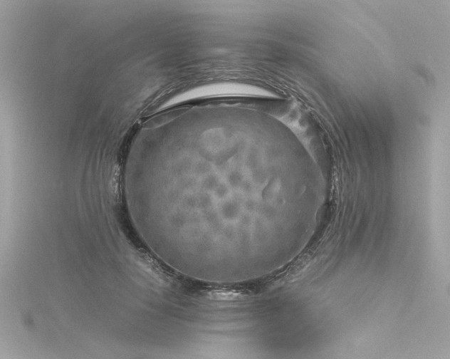 X0000116350650200912011411