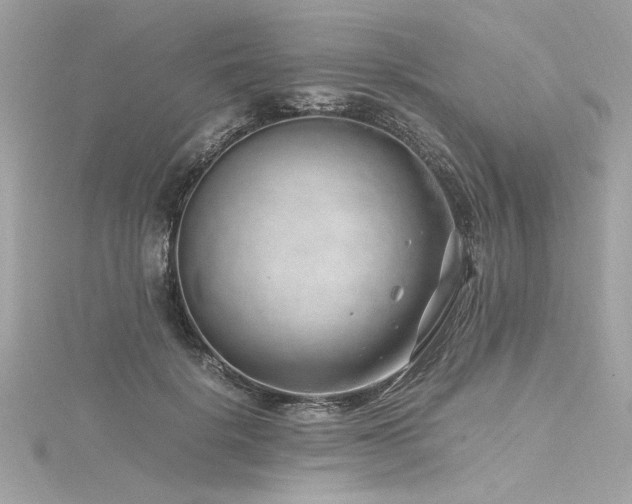 X0000116350652200912011411