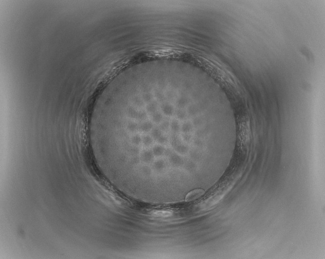 X0000116350653200912011411