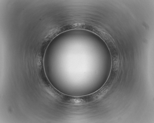 X0000116350654200912011411