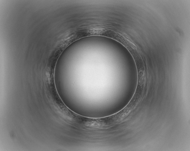 X0000116350655200912011411