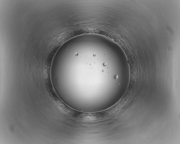 X0000116350658200912011411