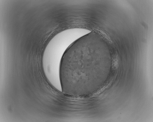 X0000116350661200912011411