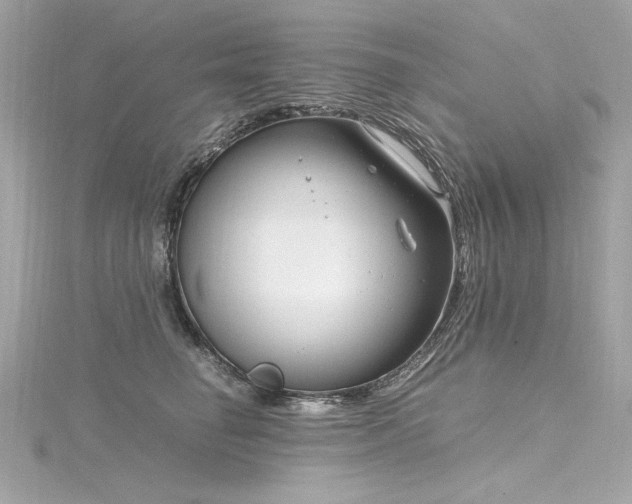 X0000116350662200912011411