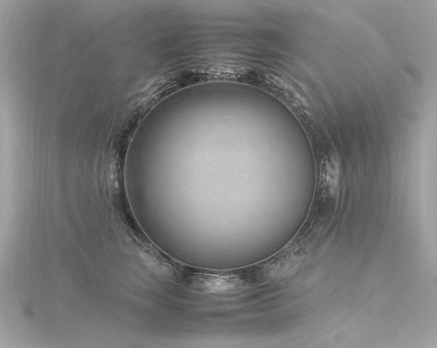 X0000116350663200912011411