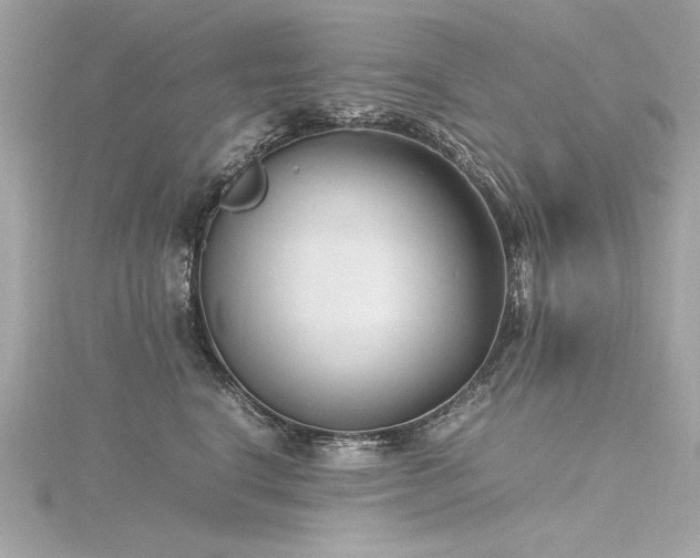 X0000116350664200912011411