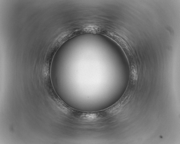 X0000116350665200912011411