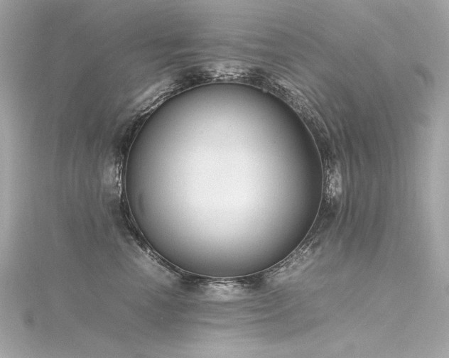 X0000116350666200912011411