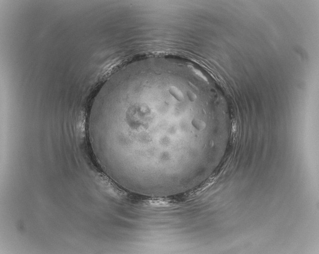 X0000116350668200912011411