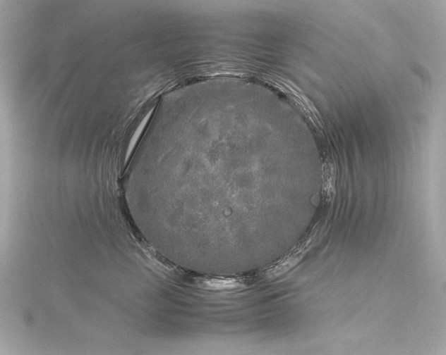 X0000116350669200912011411