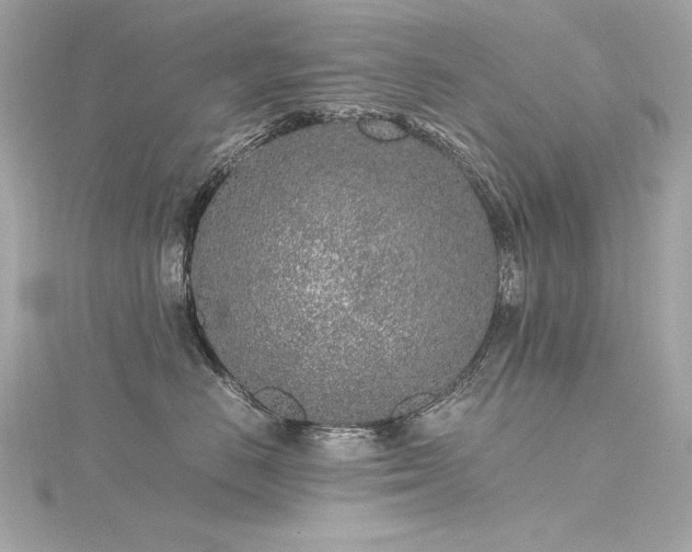 X0000116350670200912011411