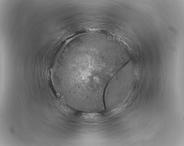 X0000116350671200912011411