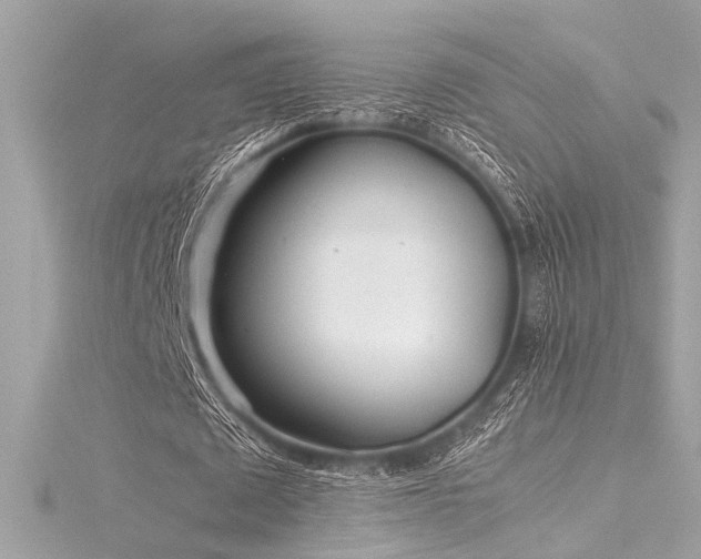 X0000116350673200912011411