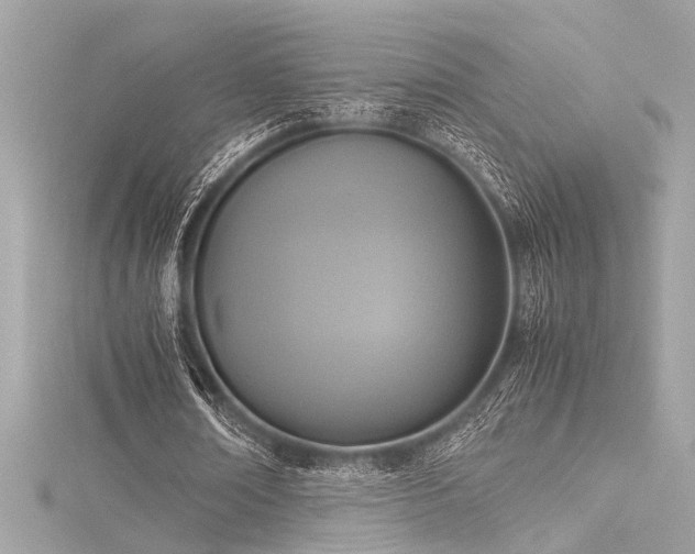 X0000116350674200912011411