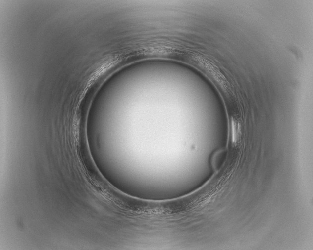 X0000116350675200912011411